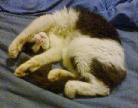 Contra el estrés de fin de año