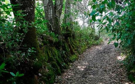 Un paseo por la Sierra