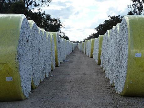 Materia prima textil