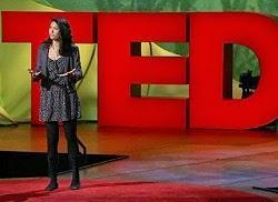 Mis TED Talks de 2014