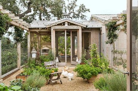 Un oasis magico / A Magical  Oasis