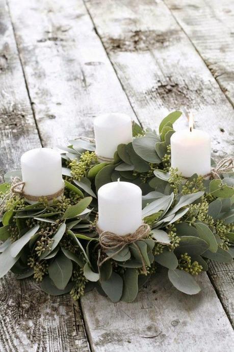 Eucaliptos, verde y natural  / Eucalyptus , green and natural