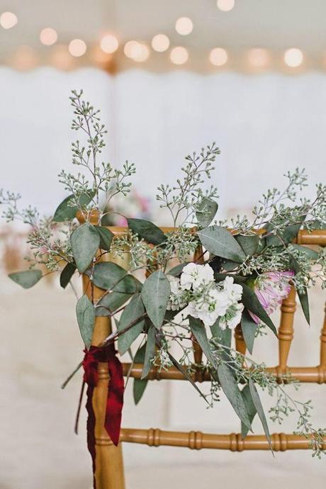 Eucaliptos, verde y natural  / Eucalyptus , green and natural