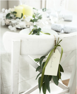 Eucaliptos, verde y natural  / Eucalyptus , green and natural