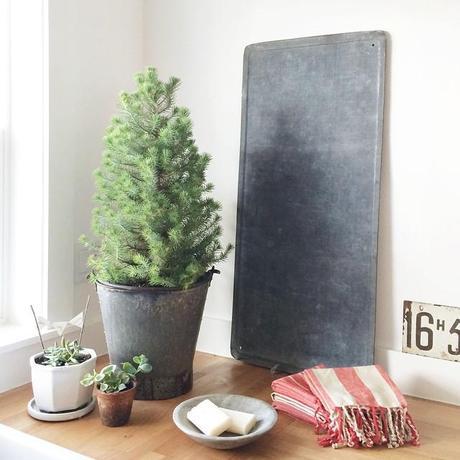 Un hogar muy especial / A very special home