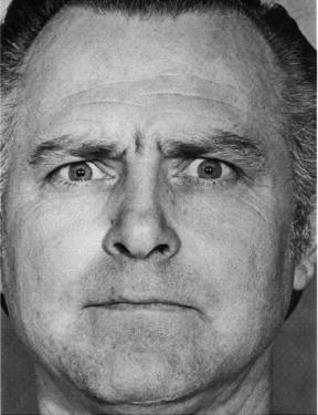 Las emociones humanas. Cuáles son las Emociones Primarias.