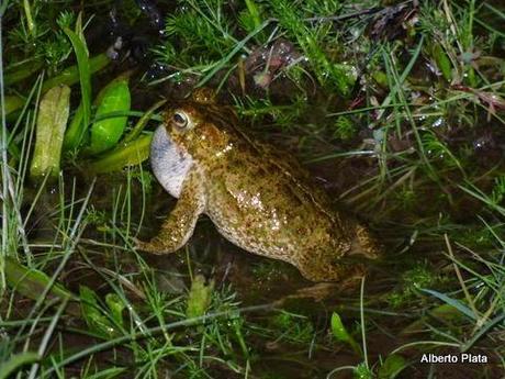 Jornada completísima de campo muy cerca de Sevilla capital...