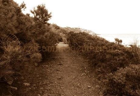 Leyenda del Cid: la Afrenta de Corpes