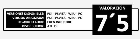 Valoracion 2015 Citizens