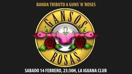 GANSOS ROSAS