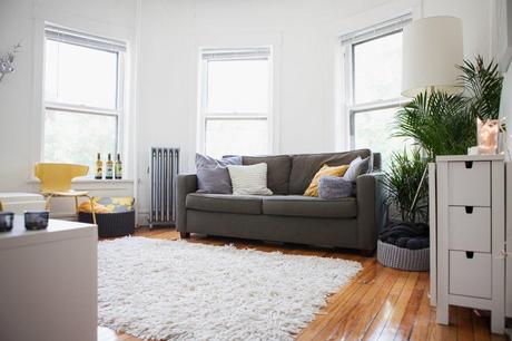 UN APARTAMENTO DE ALQUILER EN ILLINOIS CARGADO DE DETALLES