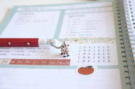 5 pautas para tu día a día que cambiaran tu vida...