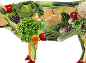 ¿sabes cual diferencia entre dieta vegana vegetariana?
