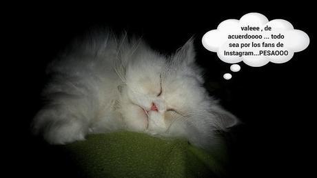 estamos tan agustito