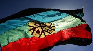 bandera-mapuche1