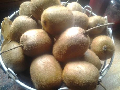 MERMELADA DE KIVI CASERA