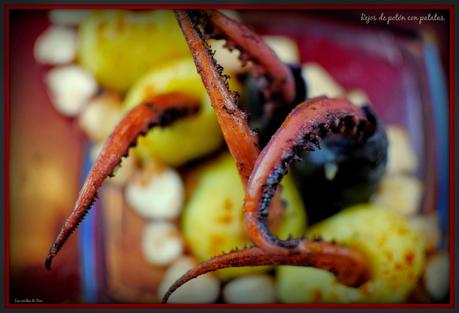 rejos de potón con patatas tererecetas 03