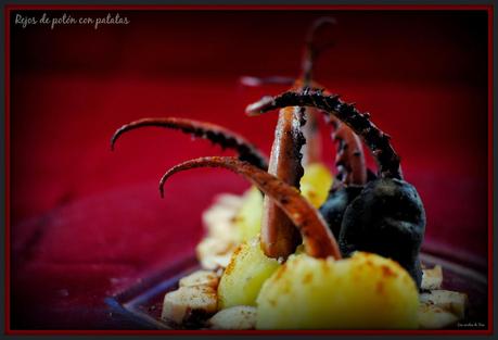 rejos de potón con patatas tererecetas 05