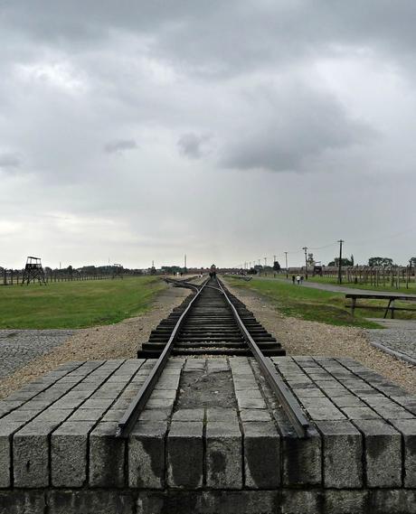 Polonia, incluyendo una visita a Auschwitz-Birkenau