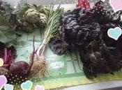 Productos ttuti fruits