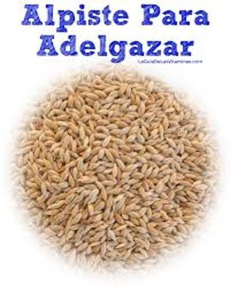 Aprecie las Ventajas del Alpiste para Bajar de Peso