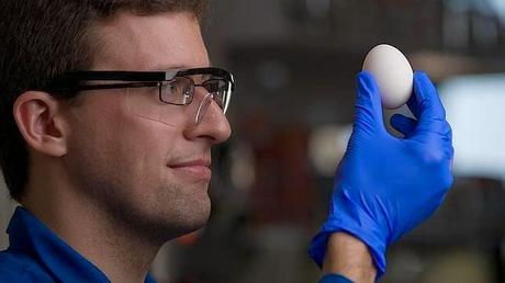 Científicos logran «deshervir» un huevo