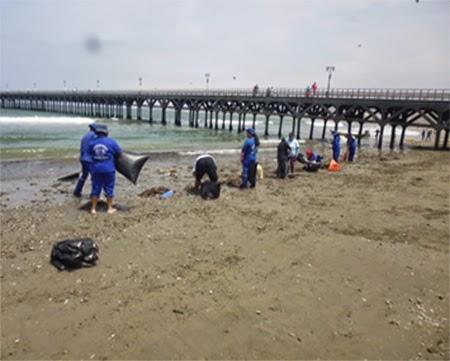 ALCALDE DE CERRO AZUL PROMUEVE EL CUIDADO Y LIMPIEZA DE LAS PLAYAS…
