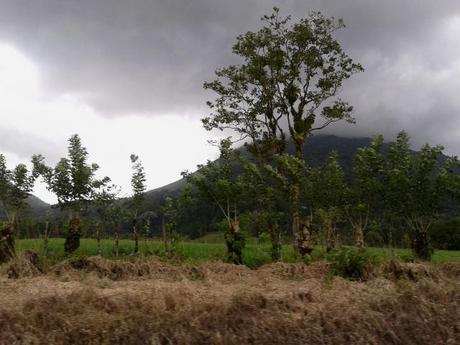 2013  PANAMA Y COSTA RICA