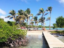 Bajo aguas Morrocoy