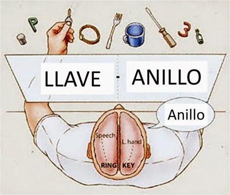 CUANDO HABLA EL HEMISFERIO IZQUIERDO