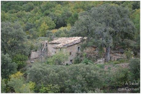 De ruta por el Congost del Mont-Rebei, Balaguer y Lleida