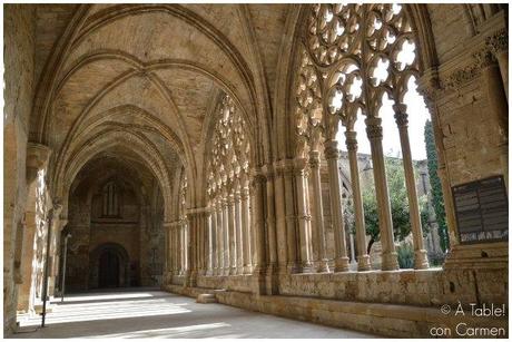 De ruta por el Congost del Mont-Rebei, Balaguer y Lleida