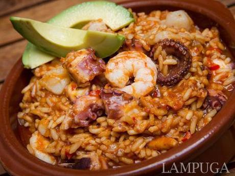 Lanzamiento “Lampuga”: el Universo en un Plato” IMG_0692