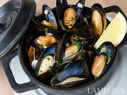 Lanzamiento “Lampuga”: el Universo en un Plato” Mejillones al Vapor_1 CORRE
