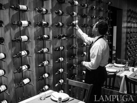 Lanzamiento “Lampuga”: el Universo en un Plato” IMG_0473