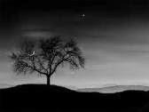 rimas verso libre