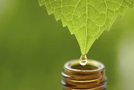farmaceuticainmavinue