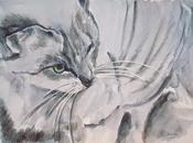 Lindo gatito