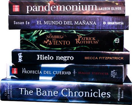 IMM 2: Mi Navidad y Fin de Año 2014