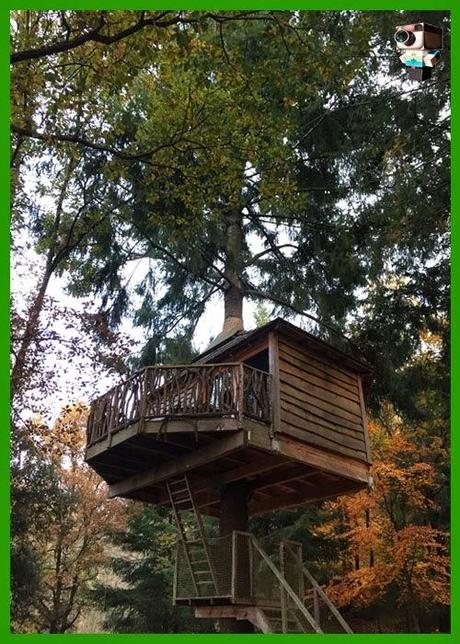 Una noche en la Cabaña del Árbol