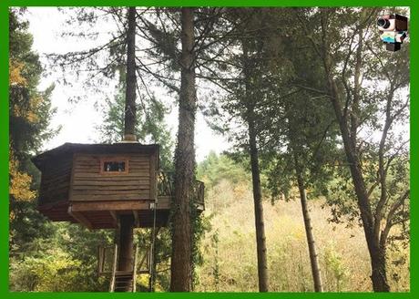 Una noche en la Cabaña del Árbol