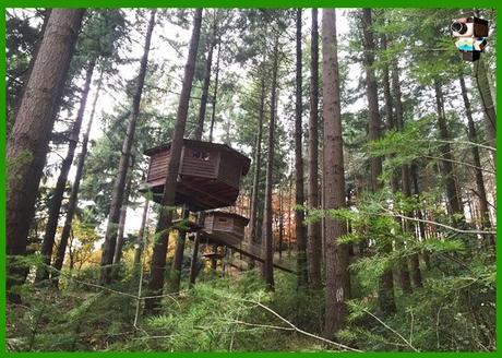 Una noche en la Cabaña del Árbol