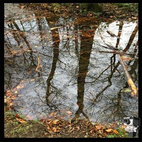 Excursión a Santa Fe del Montseny