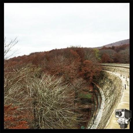 Excursión a Santa Fe del Montseny