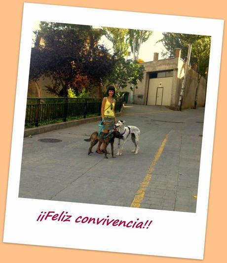 Vivir con animales mejora nuestra calidad de vida!!!! Vivir con animales mejora nuestra calidad de vida!!!!