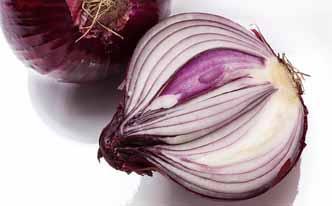 Cebolla para una picadura de abeja Cebolla para una picadura de abeja