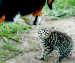 ¡Sal de tu zona de confort! Convierte tus miedos en tus mejores maestros