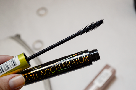 rimmel lash accelerator