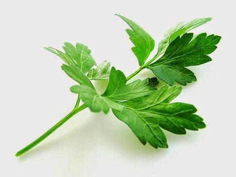 Alimentación y recetas 3. XIX