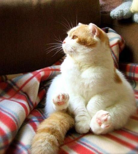 San Viernes breaking rules